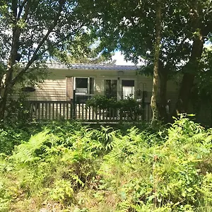  Holiday home Forest View At Oakdene Forest Park - Leisure Passes Included! United Kingdom
